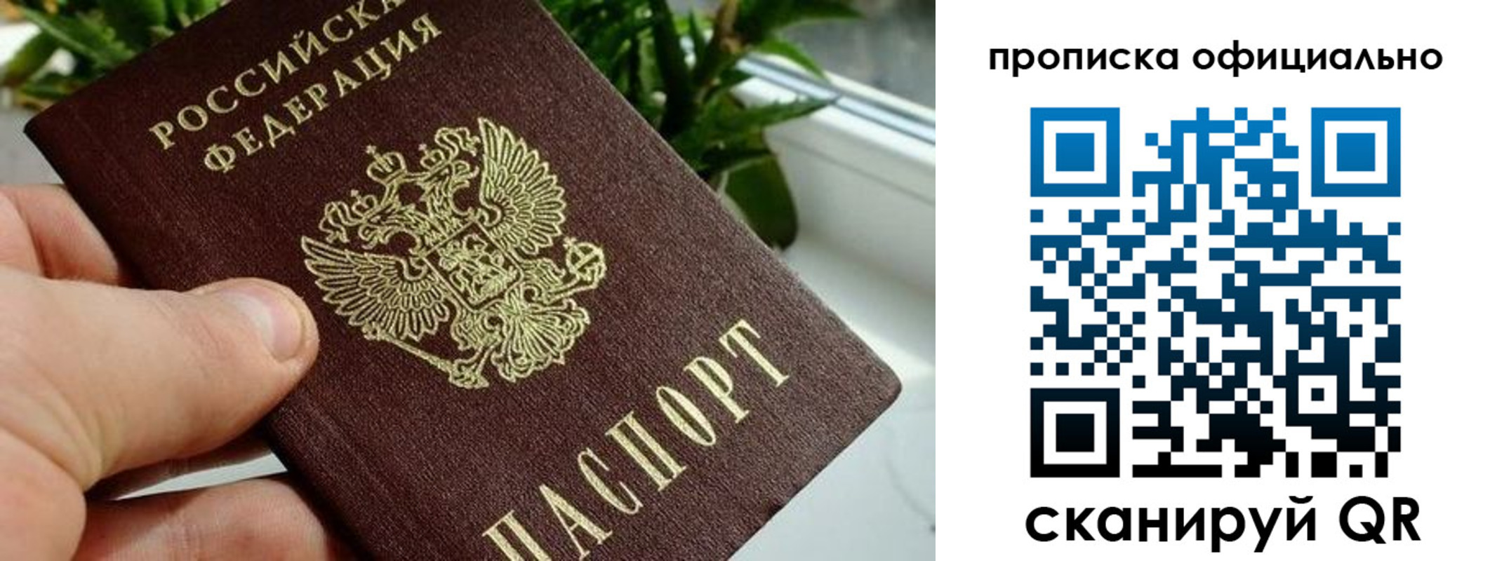 прописка поиск в Катав-Ивановске